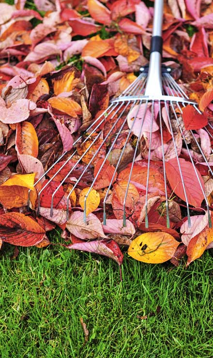 Lawn Care By Greg LLC Fall Clean Up
