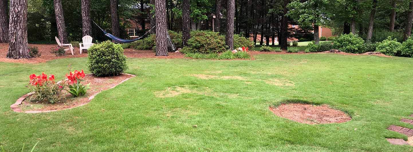 Landscaping Company, Landscaper and Landscaping Services